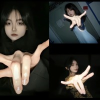 4只企鹅