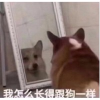 萌新