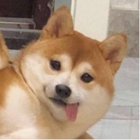 新之助