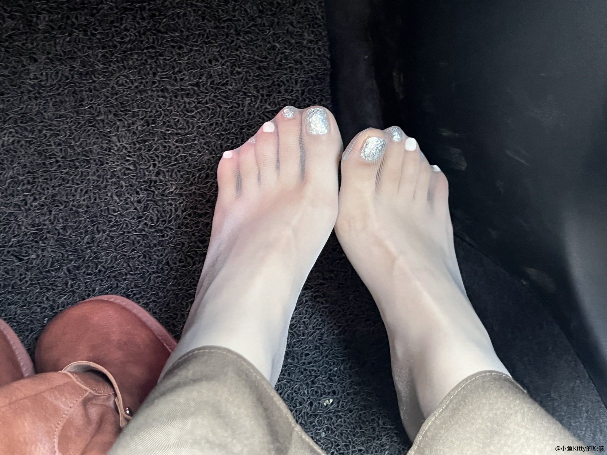 小狗怎么能没有主人疼爱呢 主页有联系方式