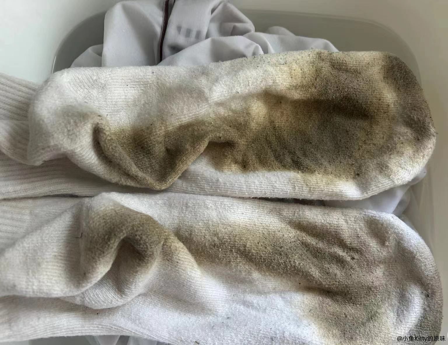 猜中有奖看看哪位狗狗更聪明呢?回复可见哦